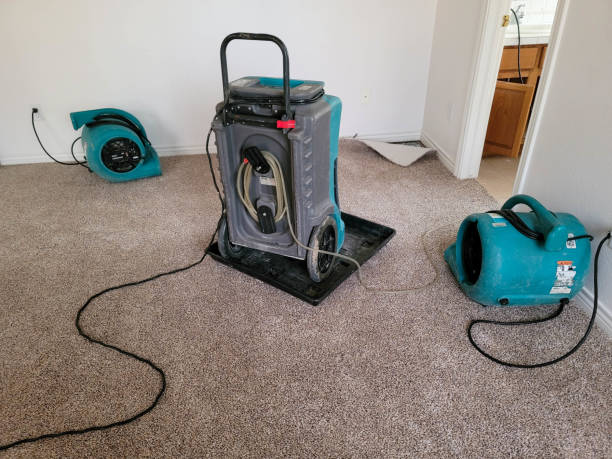 Best Water damage contractors near me  in Shakopee, MN