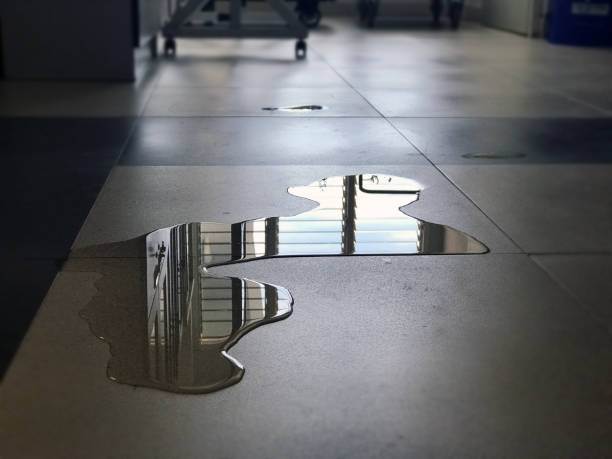 Best Emergency water damage restoration  in Shakopee, MN