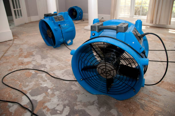 Best Local water damage restoration  in Shakopee, MN