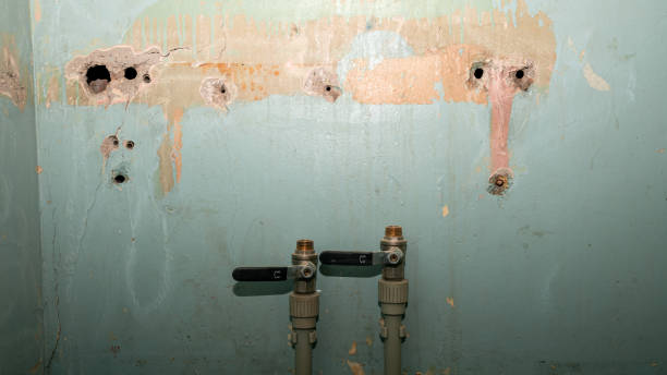 Best Water damage restoration near me  in Shakopee, MN
